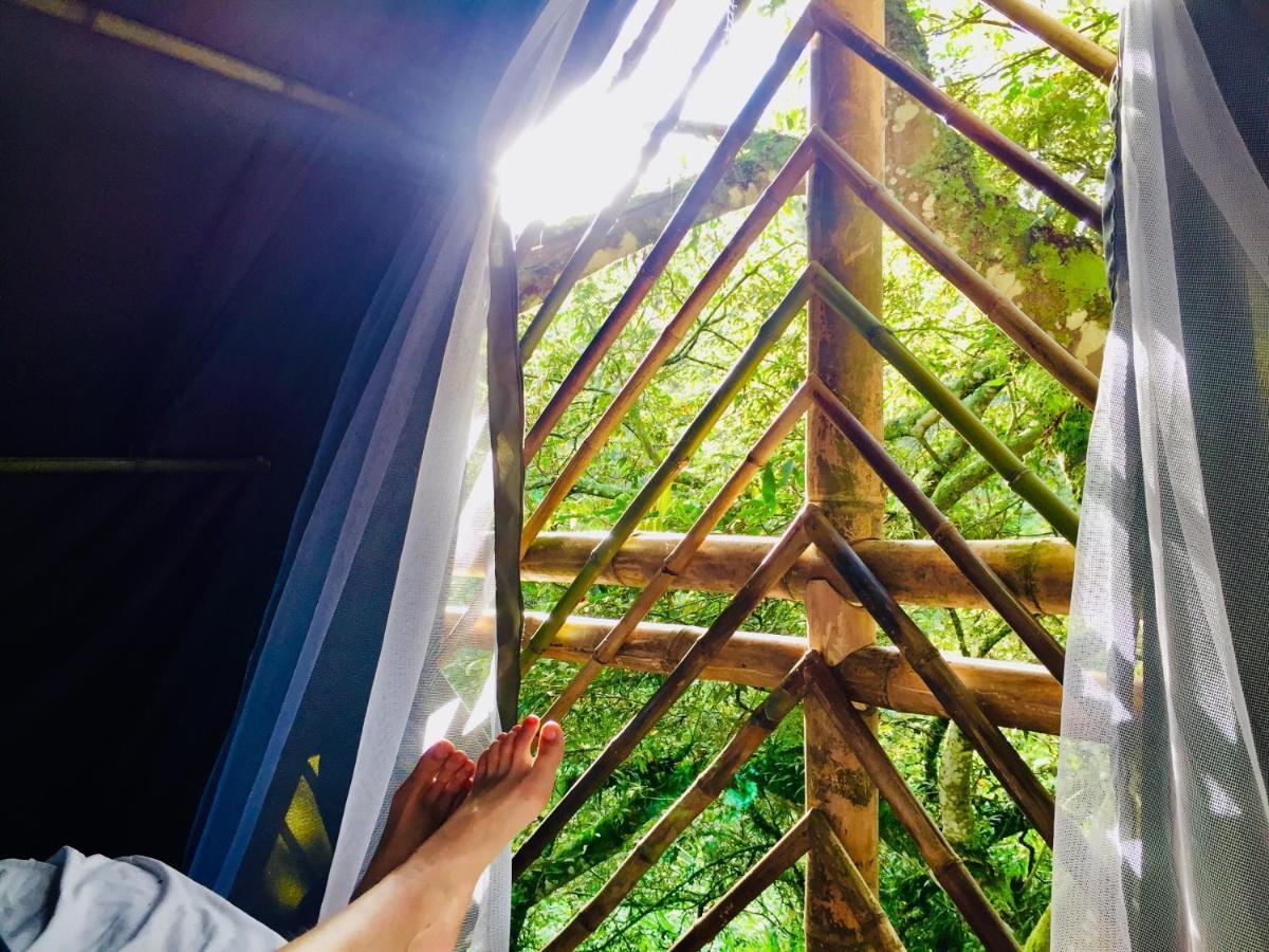 Holiday home Glamping El Arbol En La Casa