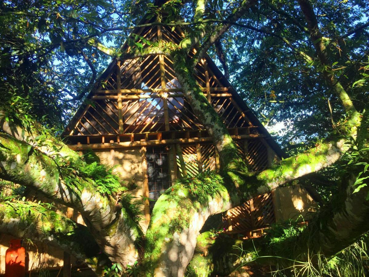 Glamping El Arbol En La Casa *