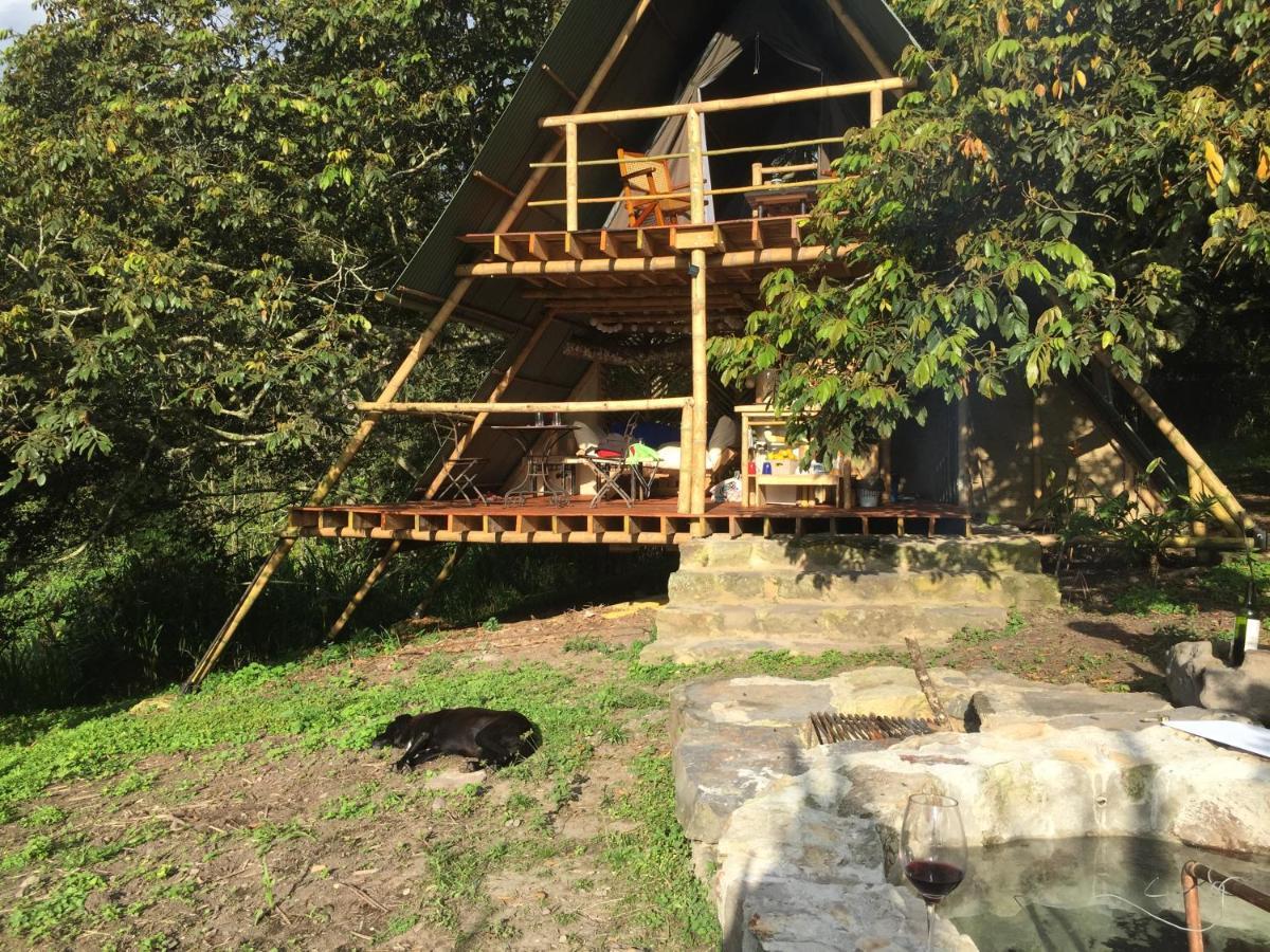 Glamping El Arbol En La Casa * San Antonio del Tequendama