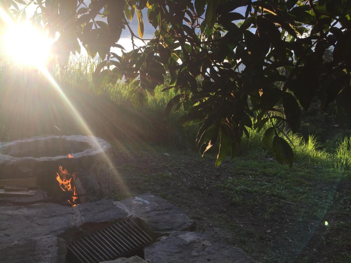 Glamping El Arbol En La Casa