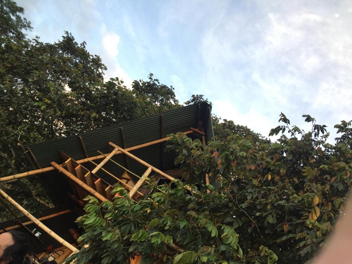 Glamping El Arbol En La Casa Holiday home San Antonio del Tequendama