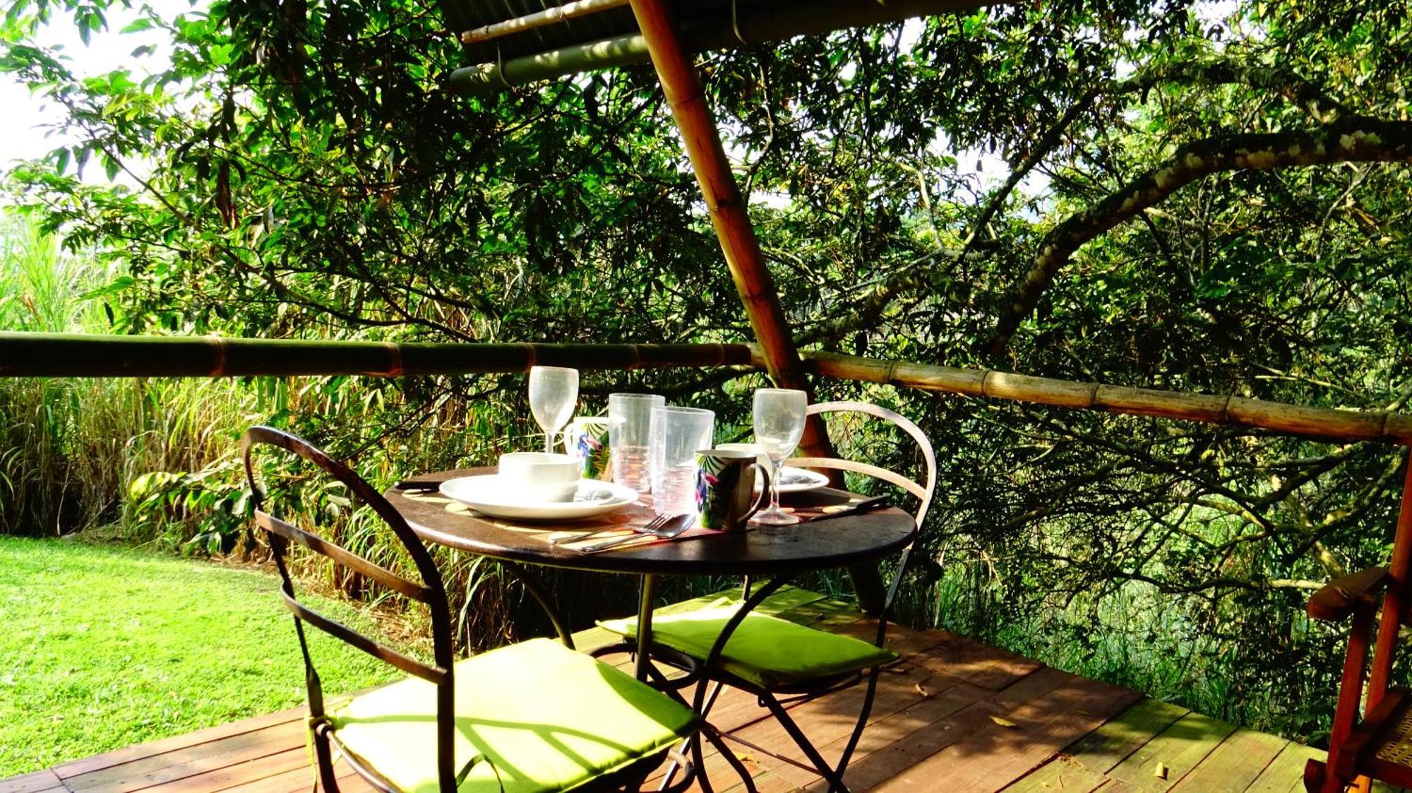 Glamping El Arbol En La Casa Holiday home