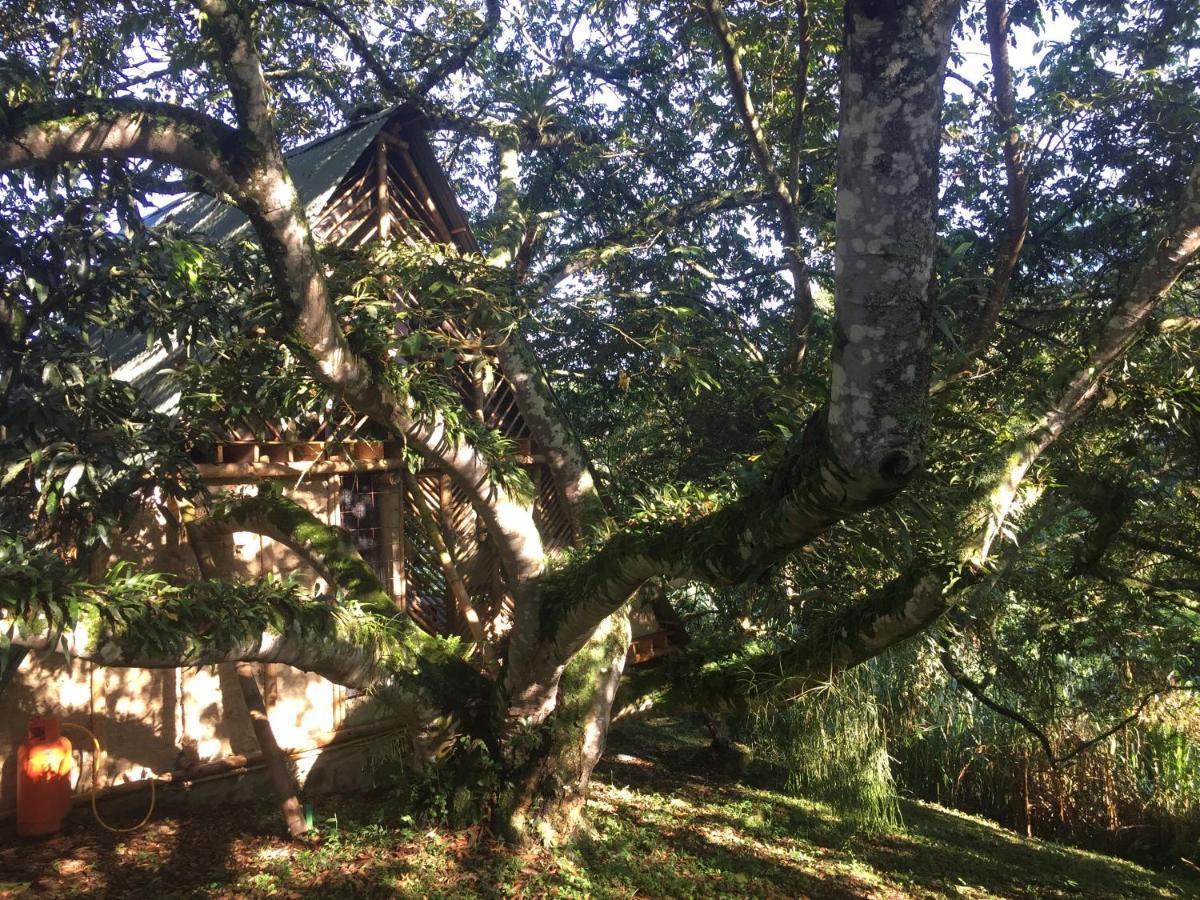 Glamping El Arbol En La Casa Holiday home San Antonio del Tequendama