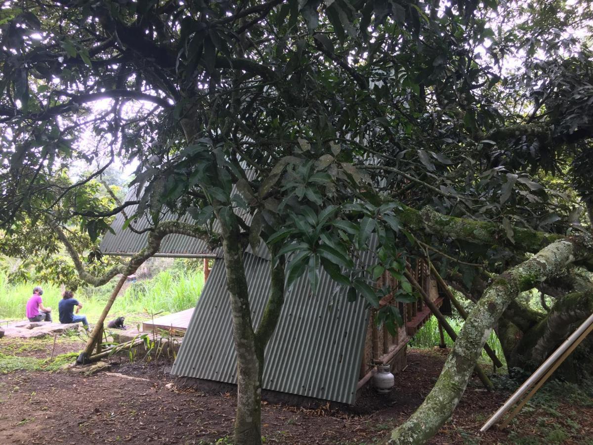 Glamping El Arbol En La Casa San Antonio del Tequendama